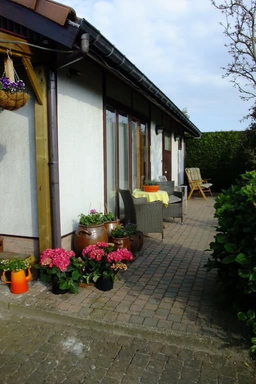 De Zon B&B Heist-op-den-Berg Zewnętrze zdjęcie